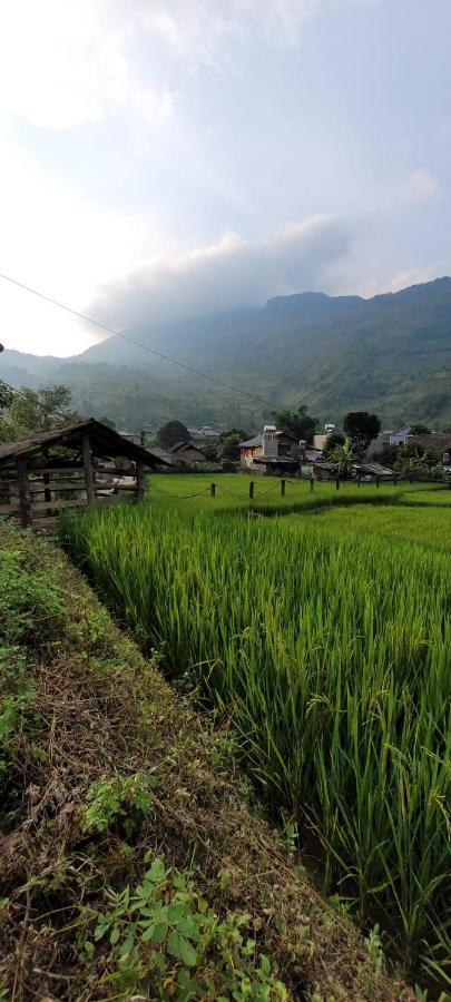 Organic Farm Homestay Sa Pa Buitenkant foto