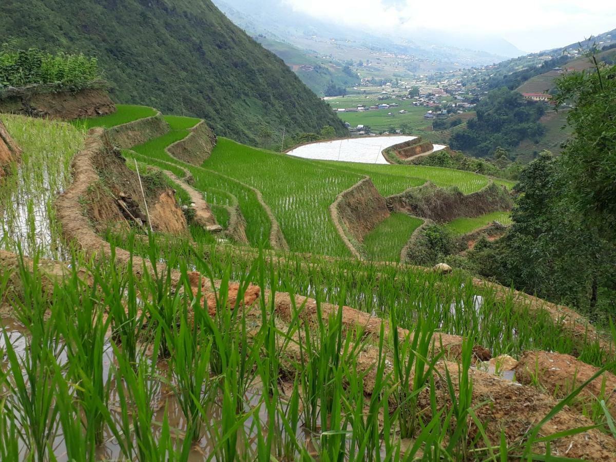 Organic Farm Homestay Sa Pa Buitenkant foto