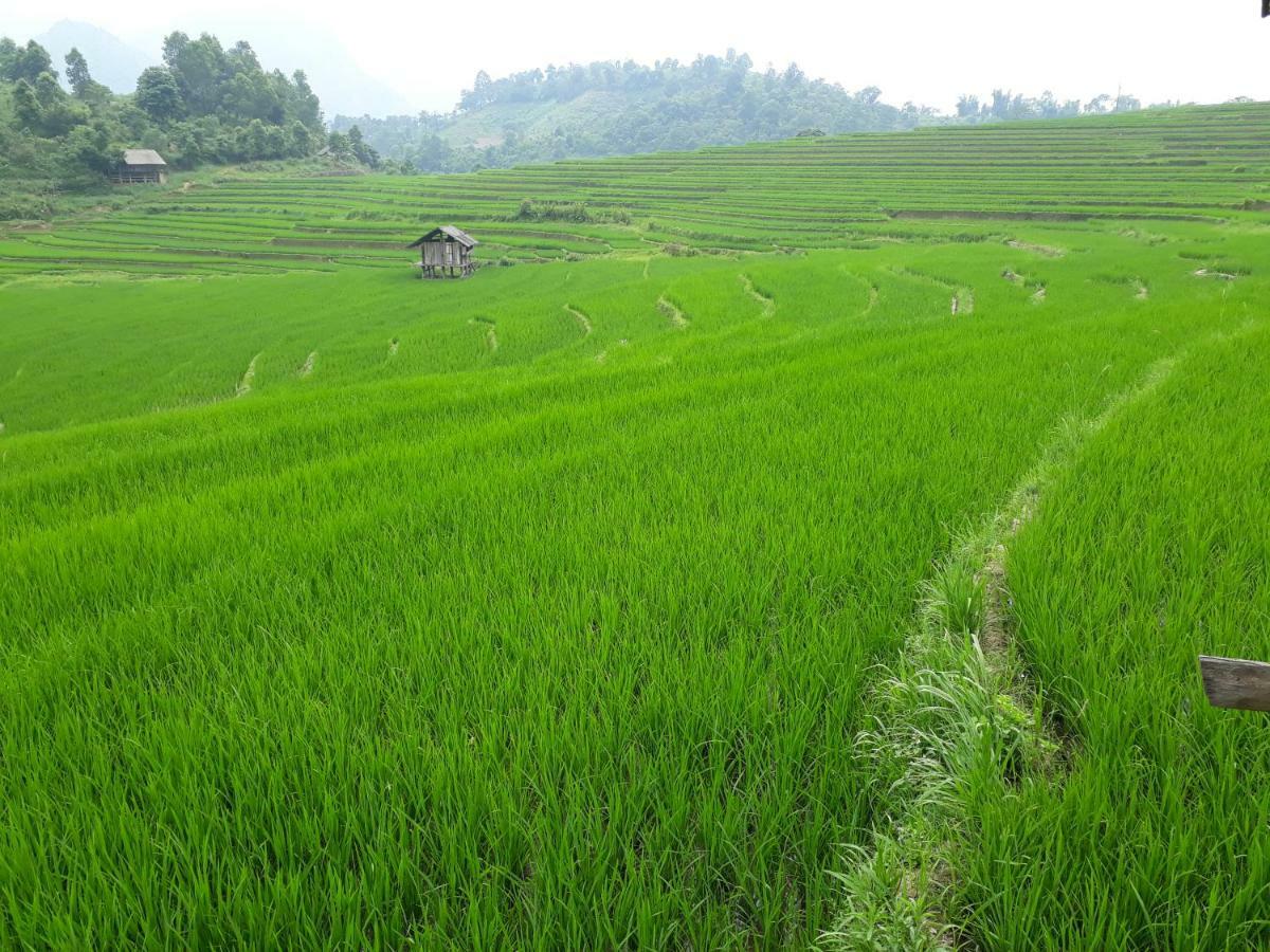 Organic Farm Homestay Sa Pa Buitenkant foto